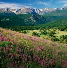 estes